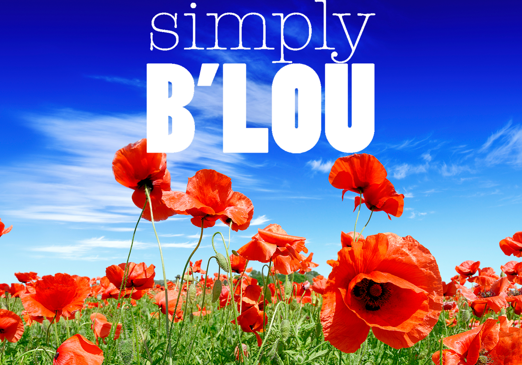 Simply B’Lou Logo